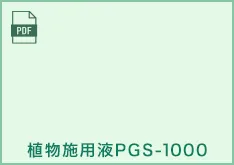 甘いスイカの育て方